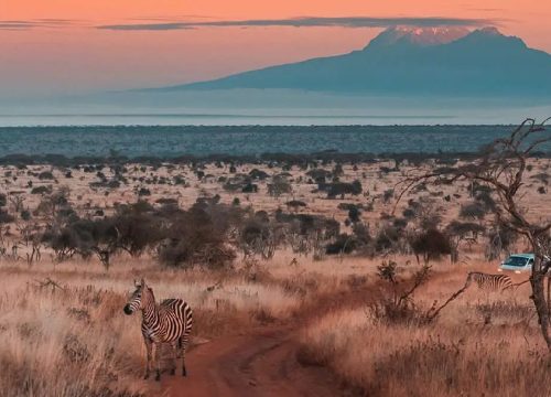 60 km (1~hour drive)